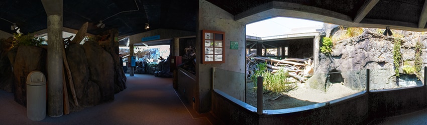 Seattle Aquarium, Seattle WA