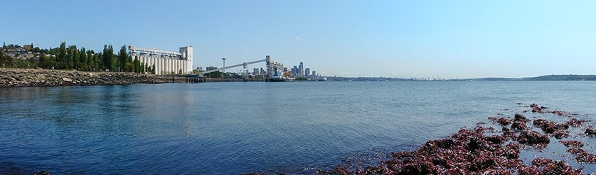 Elliott Bay Park, Interbay, Seattle WA