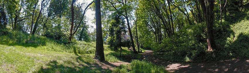 Kinnear Park, Queen Anne, Seattle WA