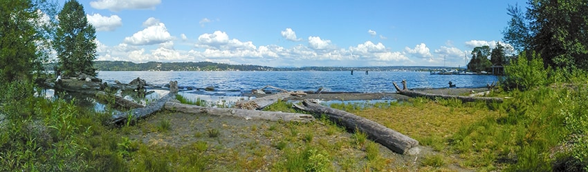 Matthews Beach, Seattle WA
