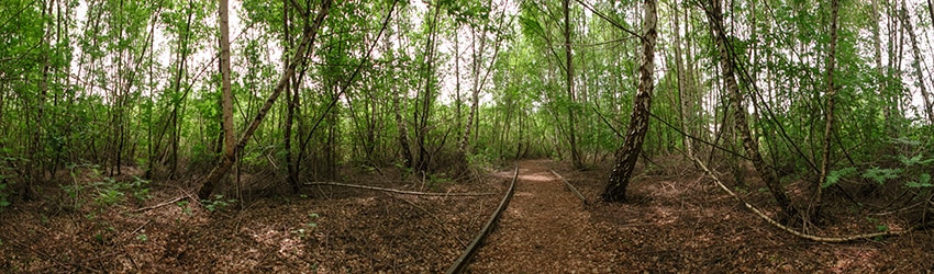 Bellefield Office Park, Bellevue WA