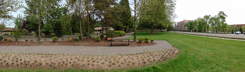McCormick Park, Bellevue WA