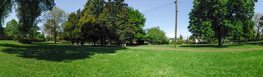 Roanoke Park, Capitol Hill, Seattle WA