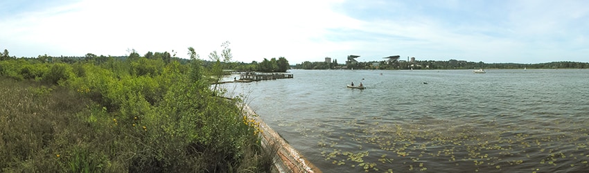 Foster Island, Madison Park, Seattle WA