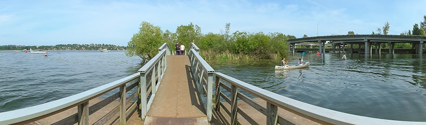 Marsh Island, Madison Park, Seattle WA