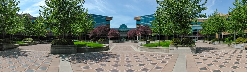 Microsoft Campus (2000), Redmond WA