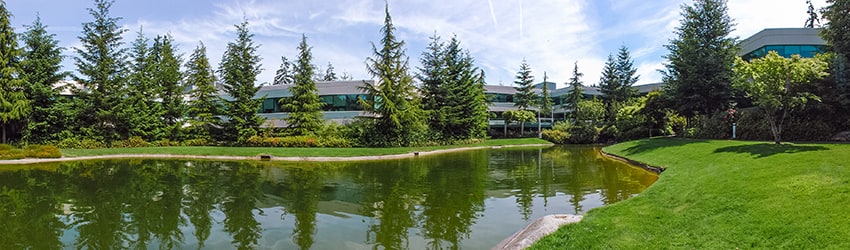 Lake Bill, Microsoft Campus (2000), Redmond WA