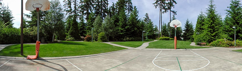 Basketball Court, Microsoft Campus (2000), Redmond WA