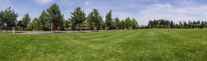 Athletic Fields, Microsoft Campus (2000), Redmond WA