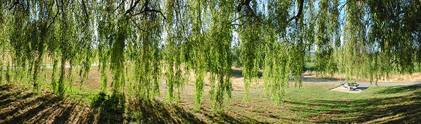 Juanita Bay Park, Kirkland WA