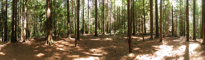 Hamlin Park, Shoreline WA