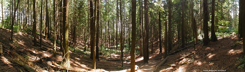 Hamlin Park, Shoreline WA