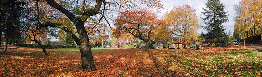 GAR Cemetery Park, Capitol Hill, Seattle WA