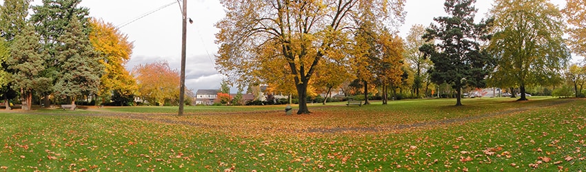 Roanoke Park, Capitol Hill, Seattle WA