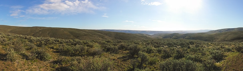 Ginkgo Petrified Forest State Park, Vantage WA