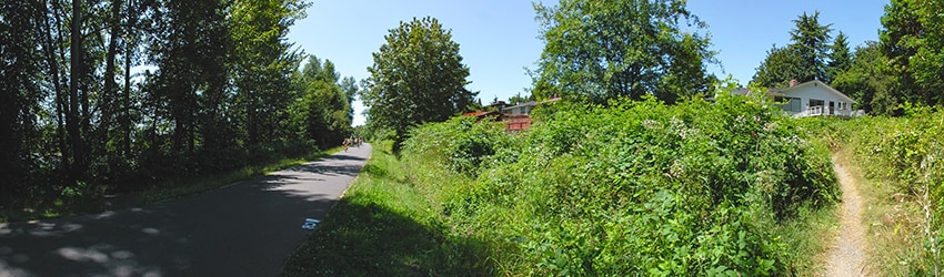 Along the Burke-Gilman Trail, Bothell WA