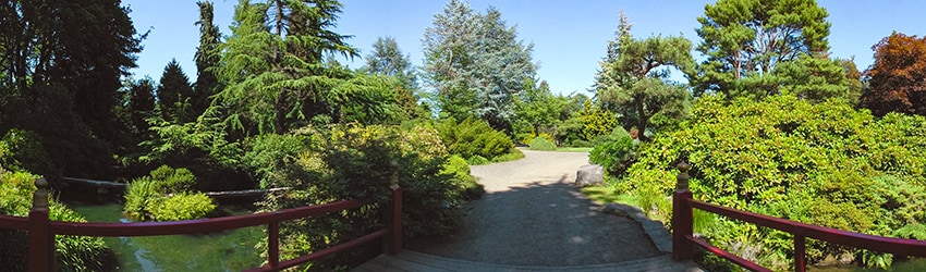 Kubota Gardens, Rainier Beach, Seattle WA