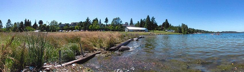 Pritchard Island Beach, Rainier Beach, Seattle WA