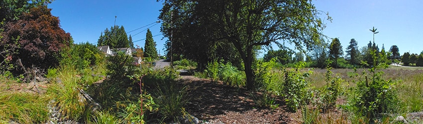 Pritchard Island Beach, Rainier Beach, Seattle WA
