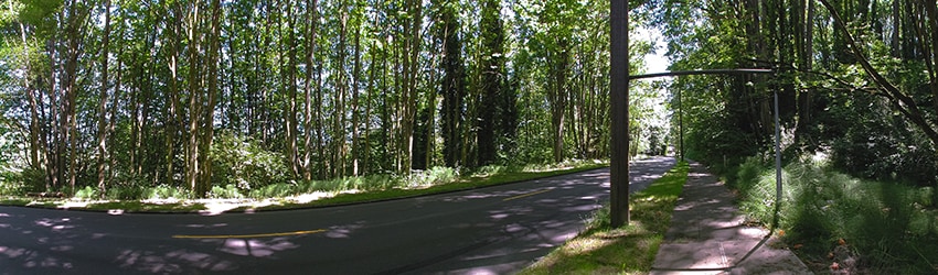 Carkeek Dr S, Rainier Beach, Seattle WA