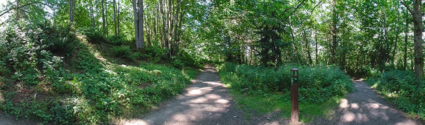 Discovery Park, Magnolia, Seattle WA