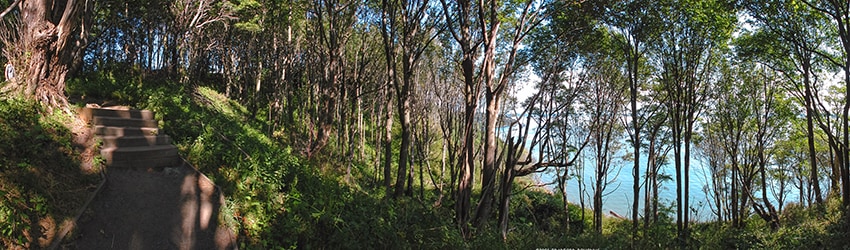 Discovery Park, Magnolia, Seattle WA