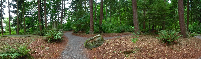 Weyerhaeuser Corporate Campus, Federal Way WA