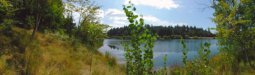 Weyerhaeuser Corporate Campus, Federal Way WA
