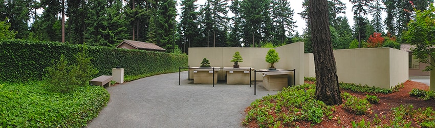 Bonsai Garden, Federal Way WA