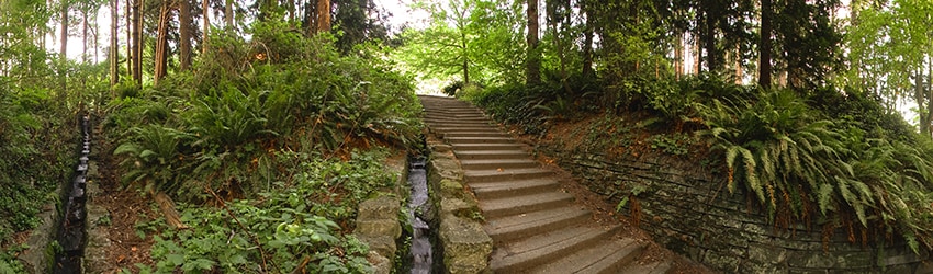 Stairway, Golden Gardens Park, Ballard, Seattle WA