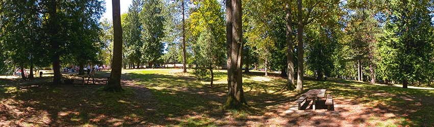 Woodland Park, Phinney Ridge, Seattle WA