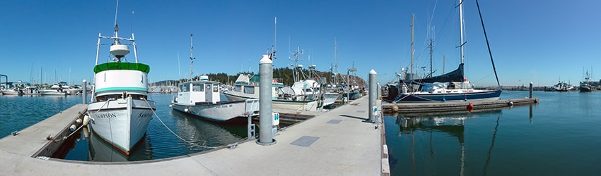 Cap Sante Marina, Anacortes WA
