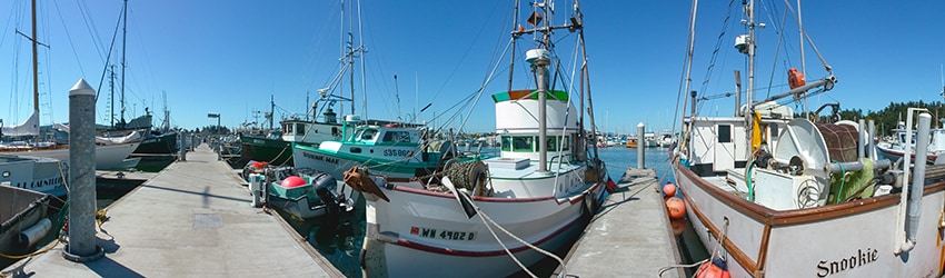 Cap Sante Marina, Anacortes WA