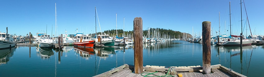 Cap Sante Marina, Anacortes WA