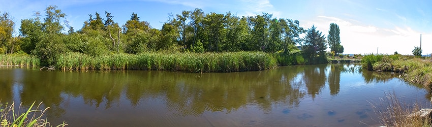 The Cove, Normandy Park WA