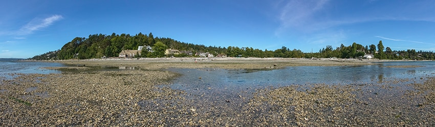 The Cove, Normandy Park WA