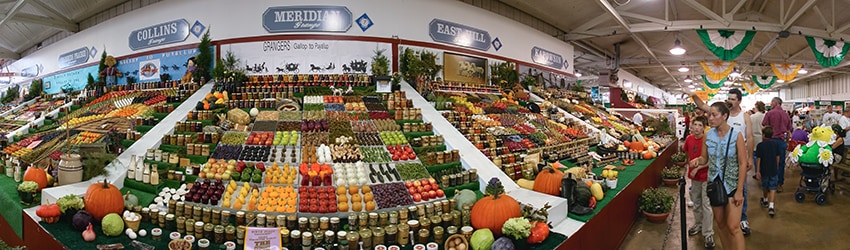 Farm Goods, Puyallup Fair, Puyallup WA