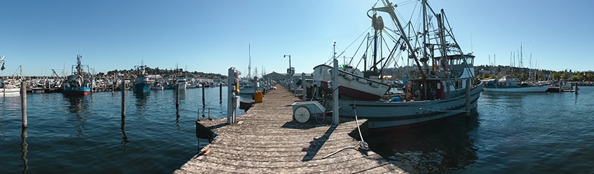 Fisherman's Teminal, Interbay, Seattle WA