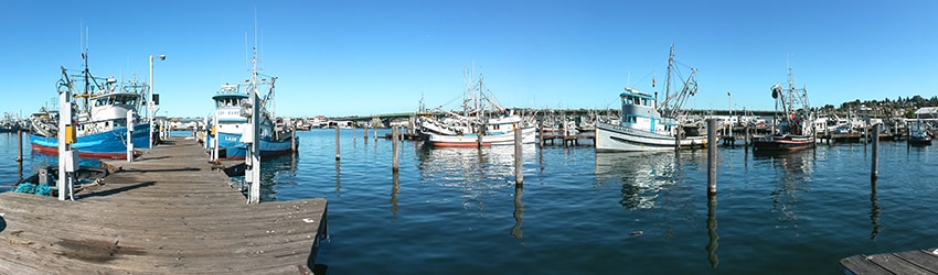 Fisherman's Teminal, Interbay, Seattle WA