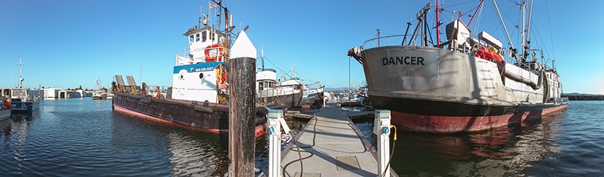 Port of Bellingham Marina, Bellingham WA