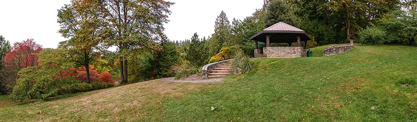 Washington Park Arboretum, Seattle WA