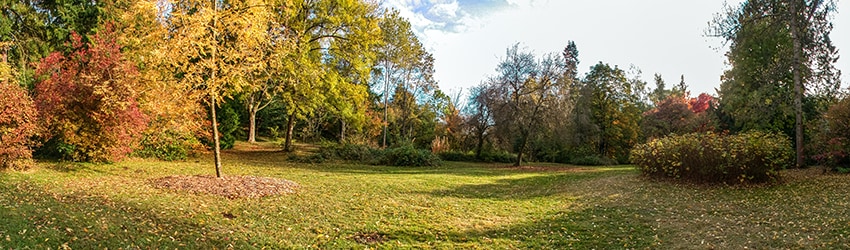 Washington Park Arboretum, Seattle WA