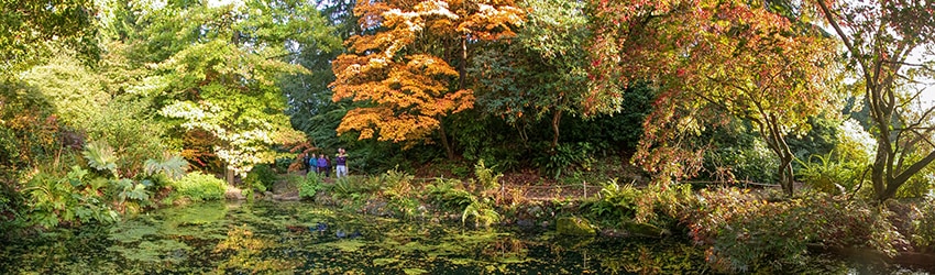 Washington Park Arboretum, Seattle WA