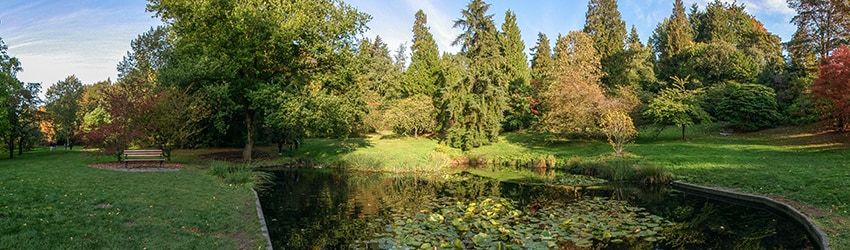 Pond, Washington Park Arboretum, Seattle WA