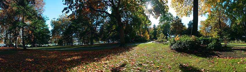 Denny Park, Seattle WA