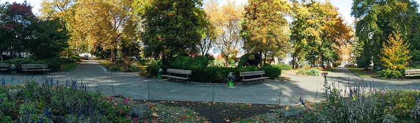Denny Park, Seattle WA