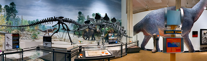 Burke Museum of Natural History and Culture, Seattle WA