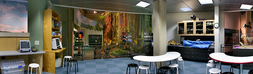 Burke Museum of Natural History and Culture, Seattle WA