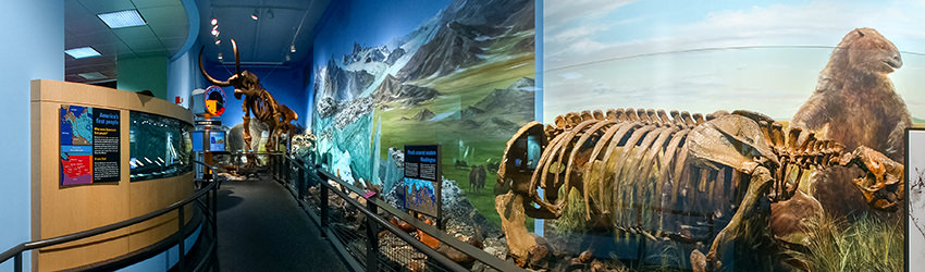 Burke Museum of Natural History and Culture, Seattle WA
