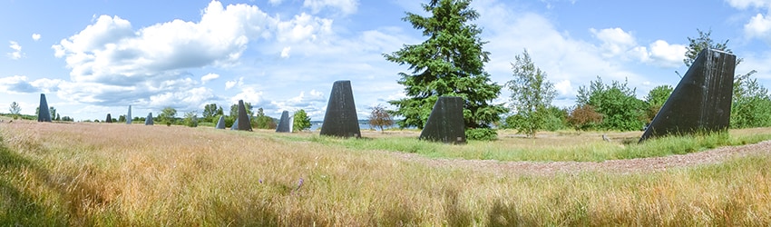 The Fin Project, Magnuson Park, Sand Point, Seattle WA